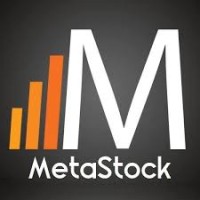 Metastock Chile logo - Similar company to Metastock