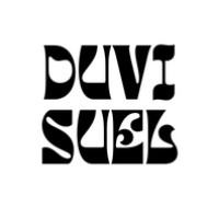 Duvisuel logo - Similar company to Launch Better