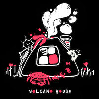 Volcano House logo - Similar company to 8Th Brick Group