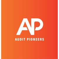 Audit Pioneers logo - Similar company to Internal Audit Hub