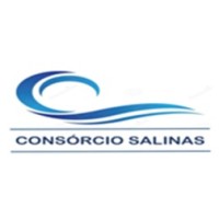 Consórcio Salinas logo - Similar company to Rede Raio-Que-O-Parta