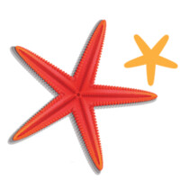 Natchatiramîne logo - Similar company to Eatic