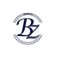 BrandZify- Digital Marketing Agency logo - Similar company to Wapearn Digital Performance Network