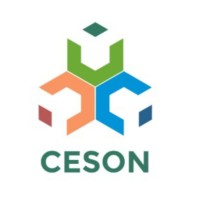 Ceson Software Private Limited logo - Similar company to Prymec – Your Partner In Excellence