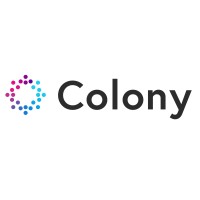 Colony Networks logo - Similar company to Neroteam Security Labs