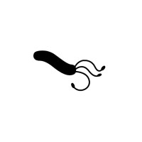rootkit.es logo - Similar company to Joifi