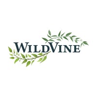 Wild Vine logo - Similar company to Fgraccel
