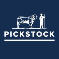 Pickstock Telford Limited logo - Similar company to Ndm Creative