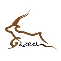 Gazeru (Pvt) Ltd logo - Similar company to Ddi Labs