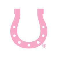 Bridle Up Hope logo - Similar company to Codeclimbers