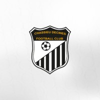 Chassieu Décines FC logo - Similar company to Physiconcept