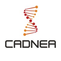 CADNEA logo - Similar company to X3D Engineering
