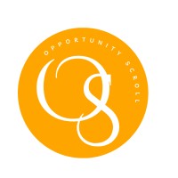Opportunity Scroll logo - Similar company to Afrilokalize