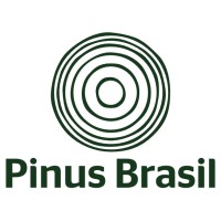 Pinus Brasil logo - Similar company to Grupo Resinas Brasil