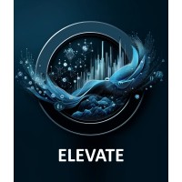 Elevate Data Consulting logo - Similar company to Visualized