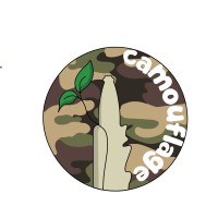 Camouflage logo - Similar company to Brdr