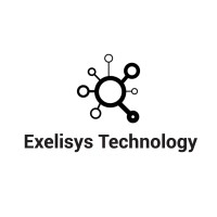 Exelisys Technology logo - Similar company to Vtek Systems
