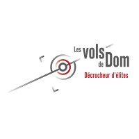 Les Vols De Dom - Instruction  ULM sur mesure - Lyon logo - Similar company to Enrêvar