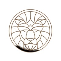 Lion Accounting & Tax Services LLC logo - Similar company to Xp Tax & Accounting