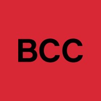 Birger Christensen Collective logo - Similar company to Closed Loop