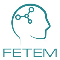 FETEM logo - Similar company to Crecerus