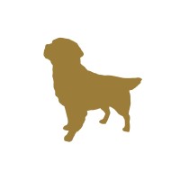 Gold Dog Communications logo - Similar company to The Speech Coach