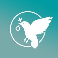 Wisdom Gaming logo - Similar company to Team Ifa