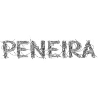 Peneira logo - Similar company to Peneirafc