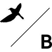 Birdblack Design logo - Similar company to Solutions Consulting Australia