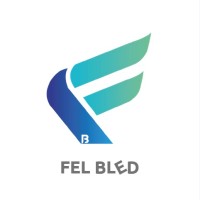 Felbled Platform logo - Similar company to Helios It