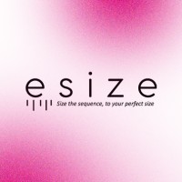 Esize logo - Similar company to Pilar Tiga Jaya (Partaya)