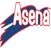 Asena Terlik Ayakkabı logo - Similar company to Noi Ayakkabı