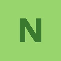 Nestor Technology logo - Similar company to Ghana Link Network Service Ltd.
