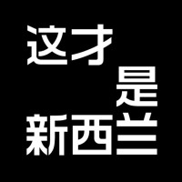 NZWECHAT LIMITED logo - Similar company to Skykiwi.Com
