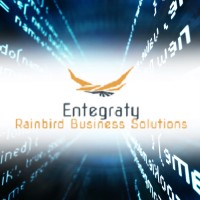 Entegraty Rainbird Business Solutions logo - Similar company to Parameter