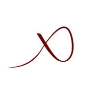 Passionflix logo - Similar company to Everdream