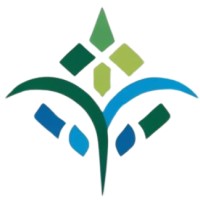 NexTech Accounting logo - Similar company to Liberty Pointe Consulting - Bookkeeping Experts