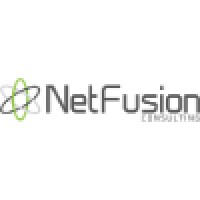 NetFusion Consulting Inc. logo - Similar company to Network Builders It