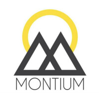 Vereniging Montium logo - Similar company to Ksvn - Koerdische Studentenvereniging Nederland