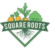 Square Roots: Bundle Service SMU logo - Similar company to Net
