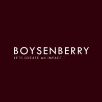 BOYSENBERRY logo - Similar company to The Eventra