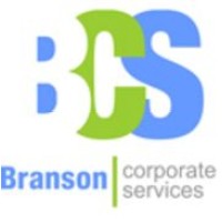 Branson Corporate Services Ltd. logo - Similar company to Accountero
