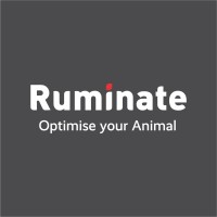 Ruminate
