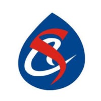 Sakshi Consultancy Services logo - Similar company to Ascent Autocomp