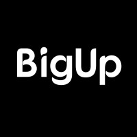 BigUp logo - Similar company to Bmap Sarl