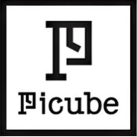 PI CUBE logo - Similar company to Niru Group