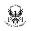 Phoenix Consulting Agency logo - Similar company to Techsphere Software Hq