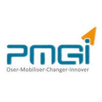 PMGI  CONSULTING logo - Similar company to Value Development Consulting
