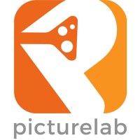 Picturelab logo - Similar company to Different Strokes Creative