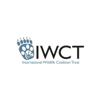 International Wildlife Coalition Trust logo - Similar company to Ingrebourne Valley Limited
